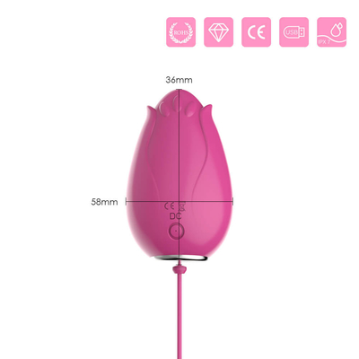 G Spot Vibrating Egg เซ็กส์ทอยสำหรับผู้หญิง Wireless Control Mini Flower Silicone