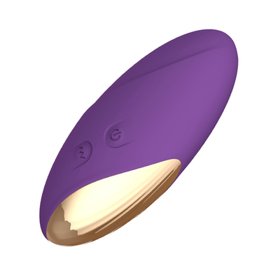 Comfort Silent Vibrator สำหรับผู้หญิง Vibrating Jump Eggs Vibrating Love Balls Silicone